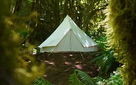 Wander Camp Olympic
